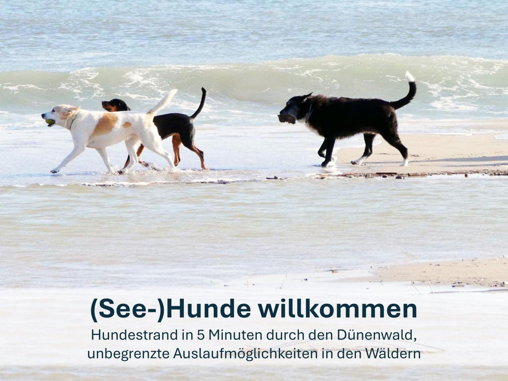 Paradies-Ambiente - Strandnah, Sauna, Kamin, Hundefreundlich Zinnowitz Eksteriør billede