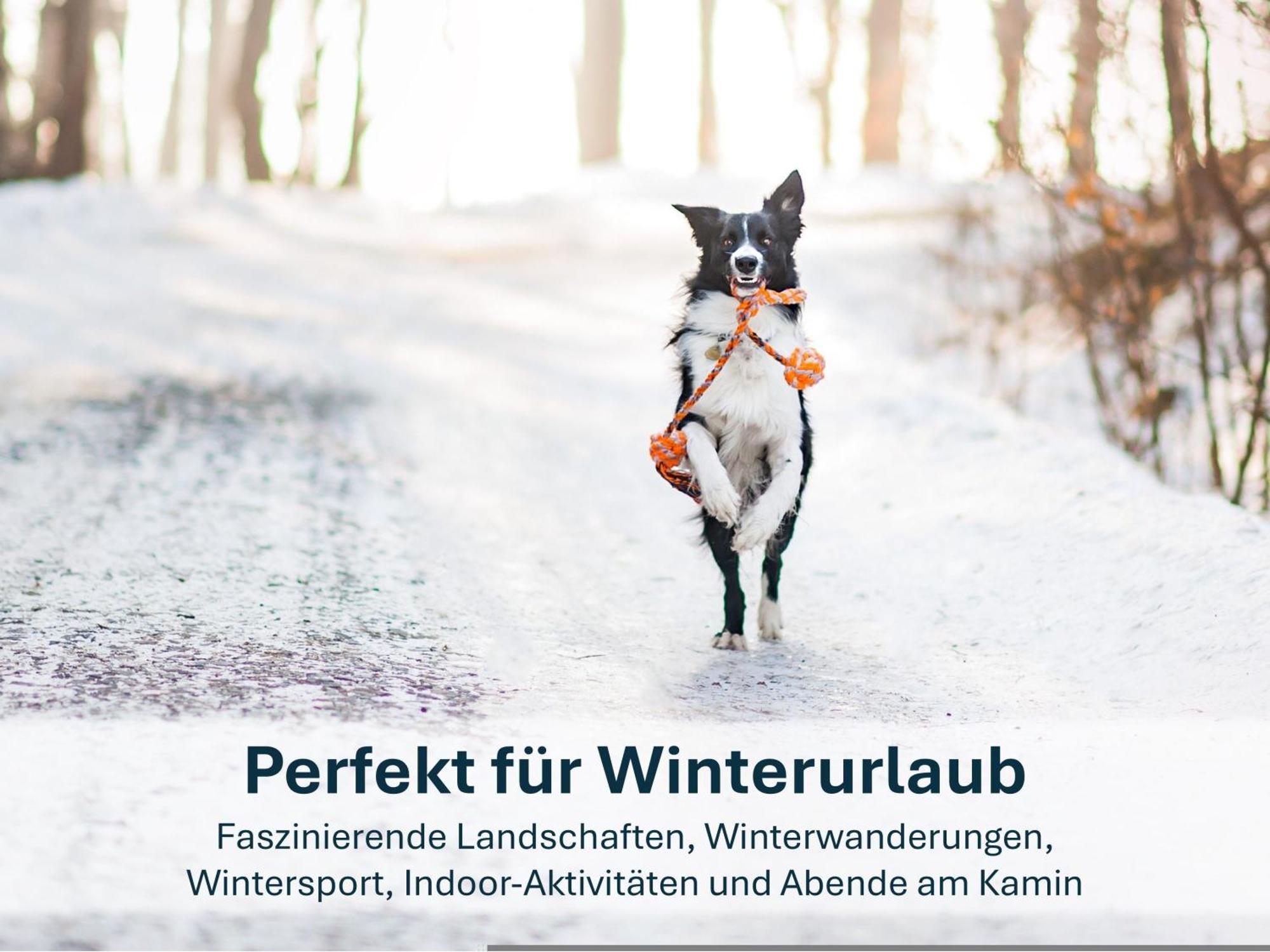 Paradies-Ambiente - Strandnah, Sauna, Kamin, Hundefreundlich Zinnowitz Eksteriør billede